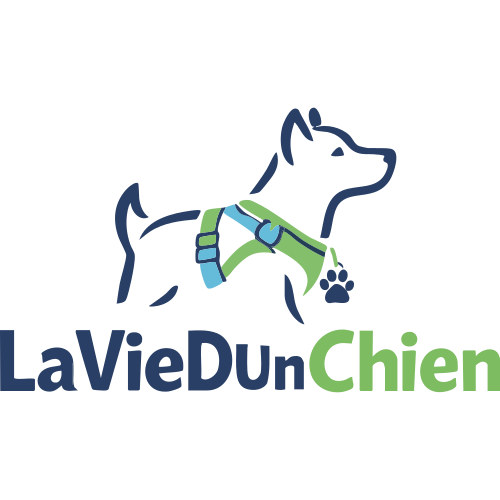 Laviedunchien